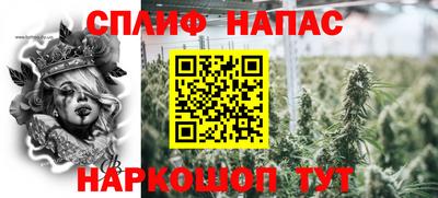 сатива Коммунар