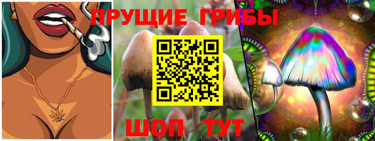 Краснознаменск  Галлюциногенные грибы прущие грибы  Вход с VPN 