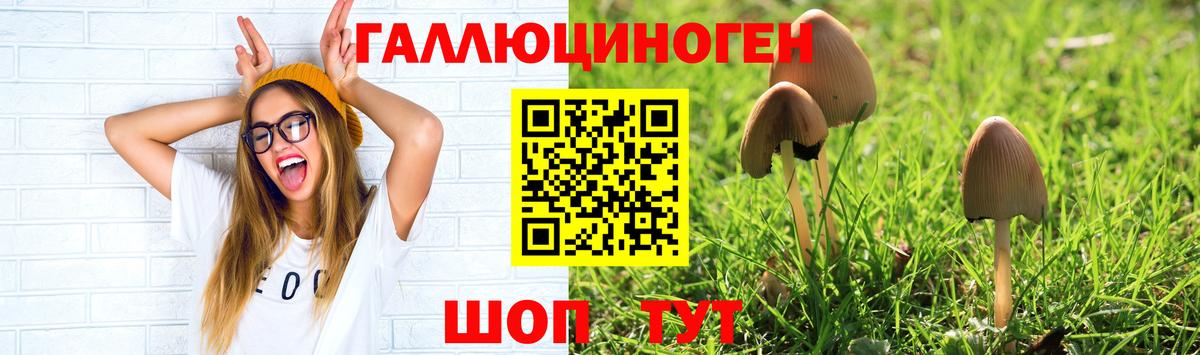 Галлюциногенные грибы GOLDEN TEACHER Краснознаменск